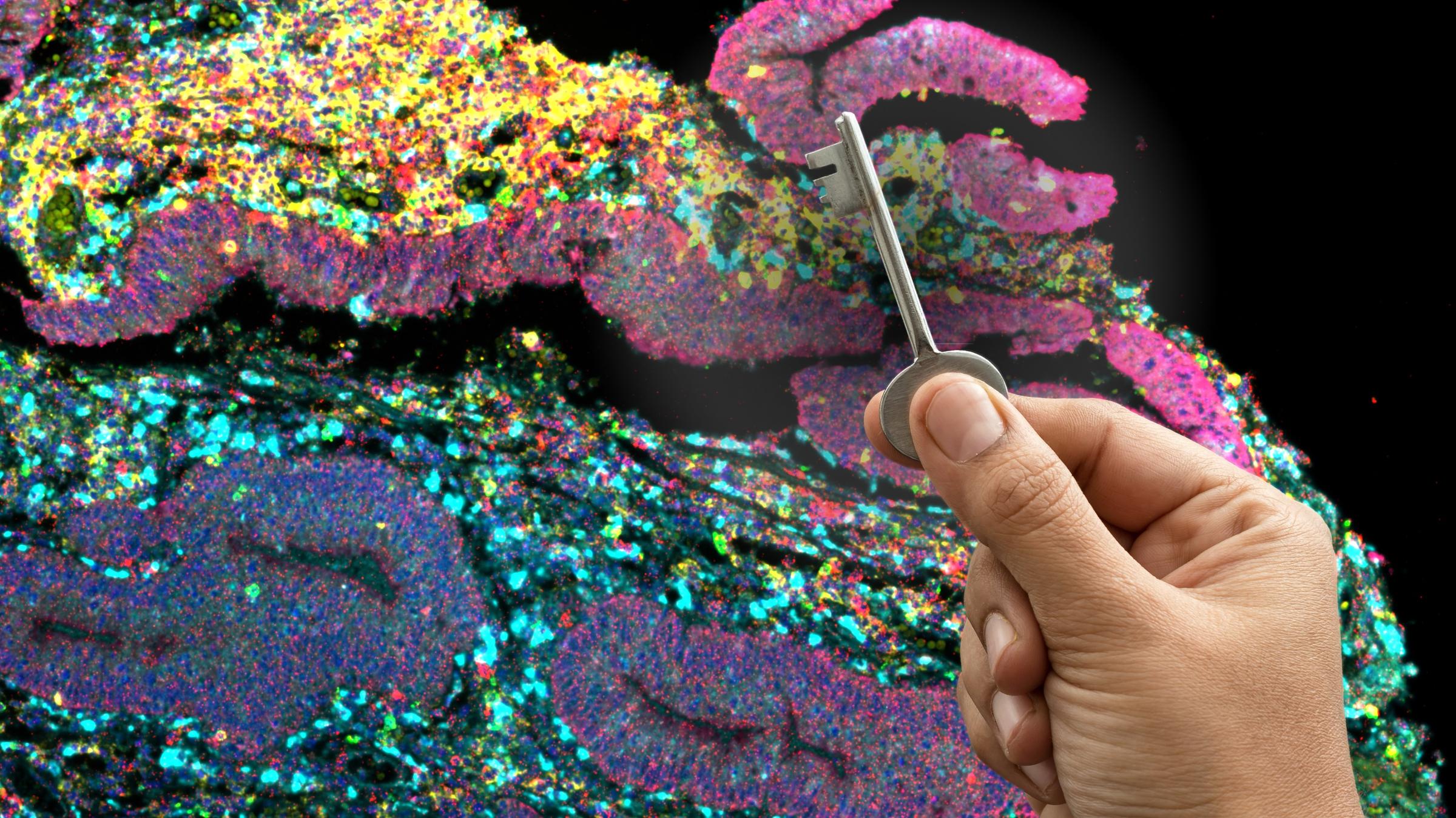 Do you really want to give a vendor the keys to all your pathology data?
