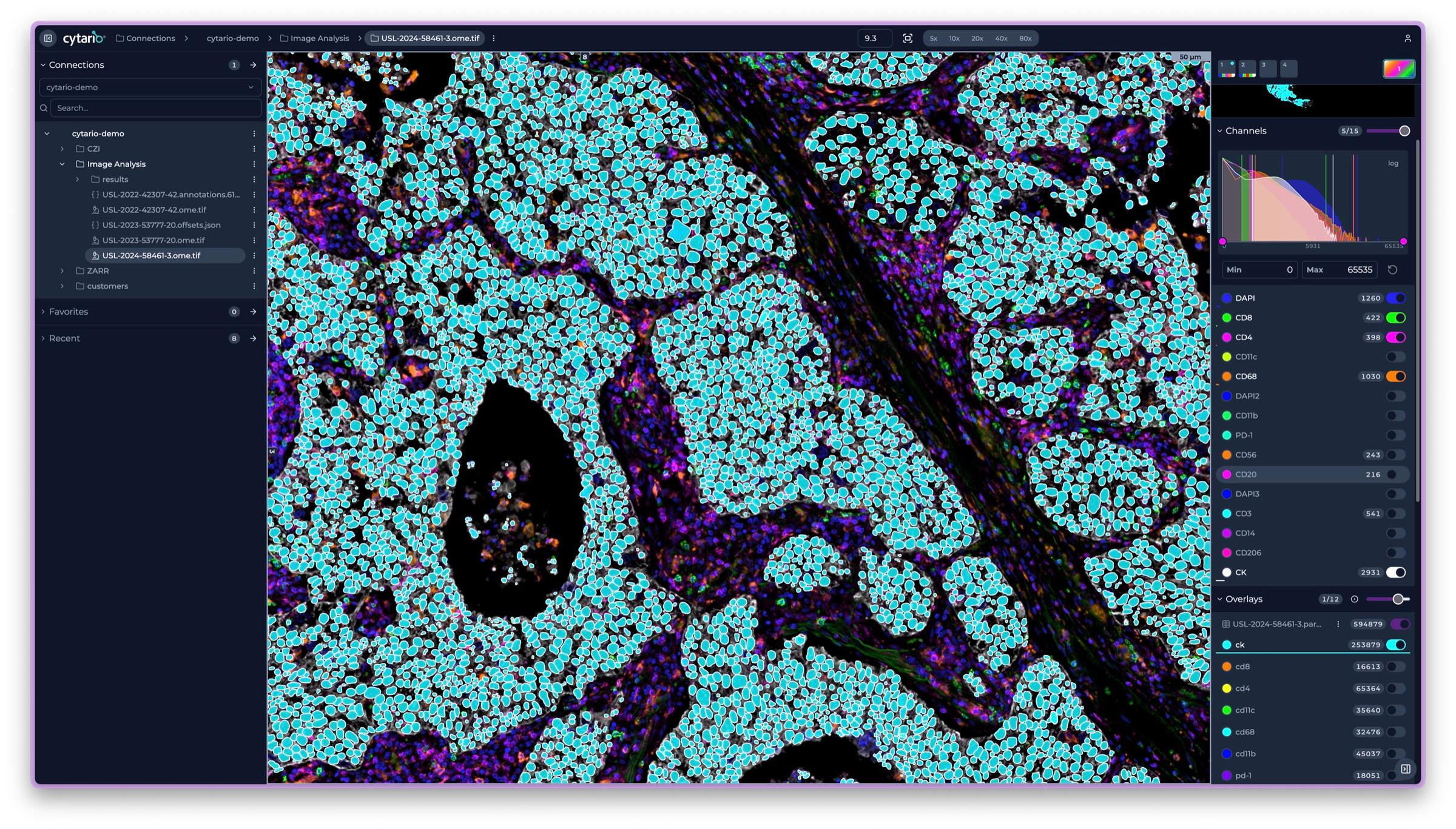 Image Analysis