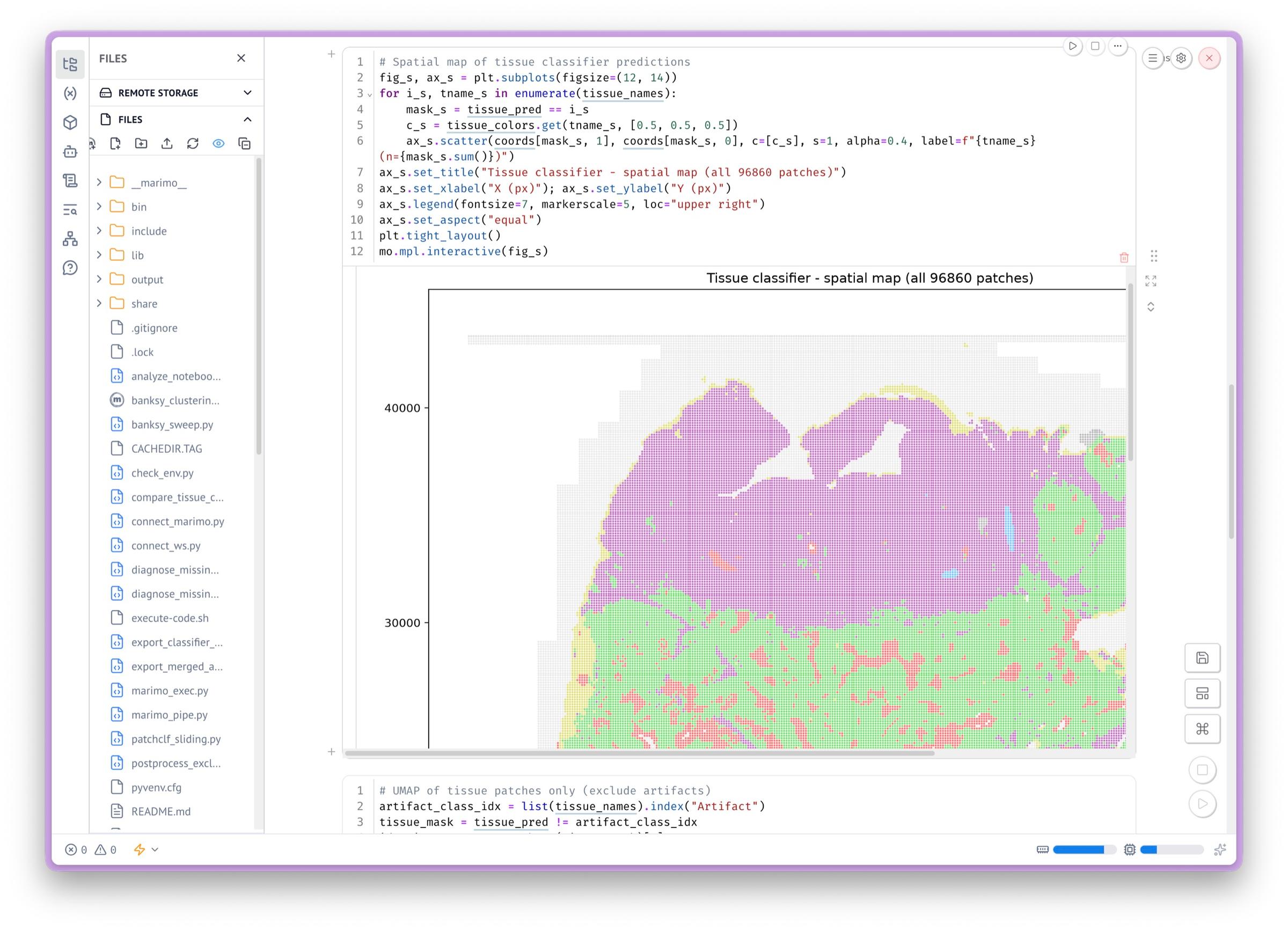 AI Model Development