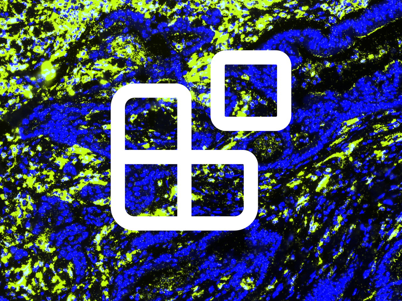 Decoding Storage Solutions: Object vs. Block Storage for Digital Pathology