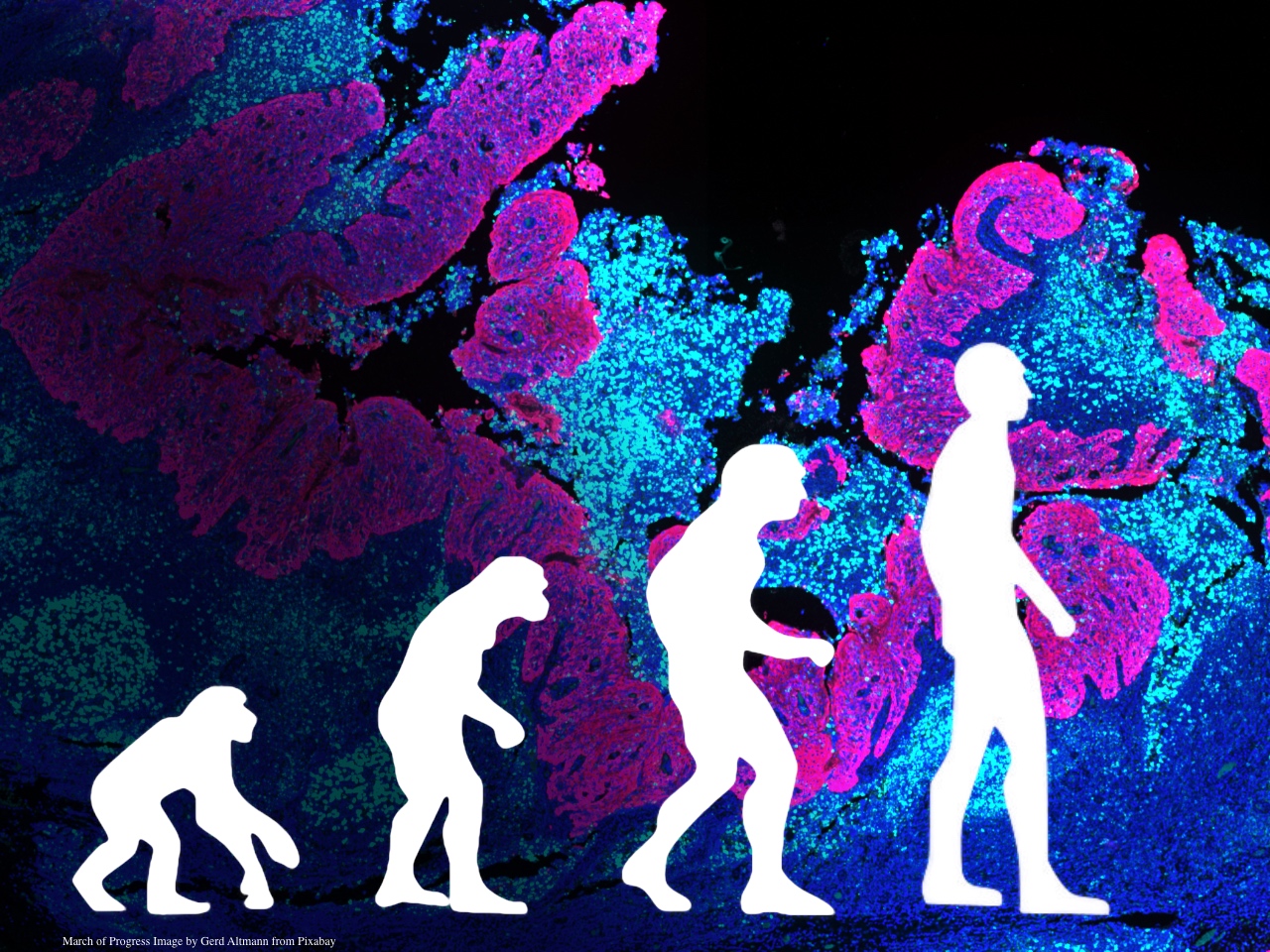 From Satellites to Browsers: The 30-Year Evolution of Digital Pathology Viewers