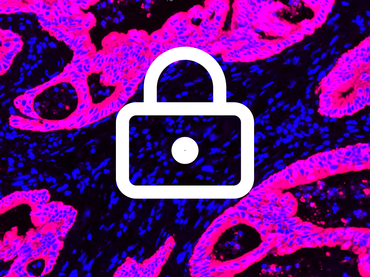 The Authentication Roadblock: Why OIDC Integration Makes or Breaks Digital Pathology Tools