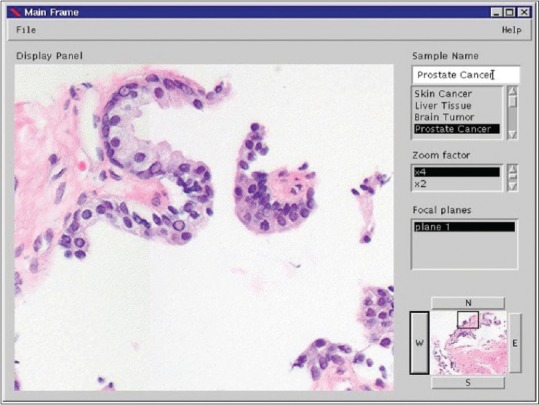 Virtual Microscope 1997 - Graphical User Interface
